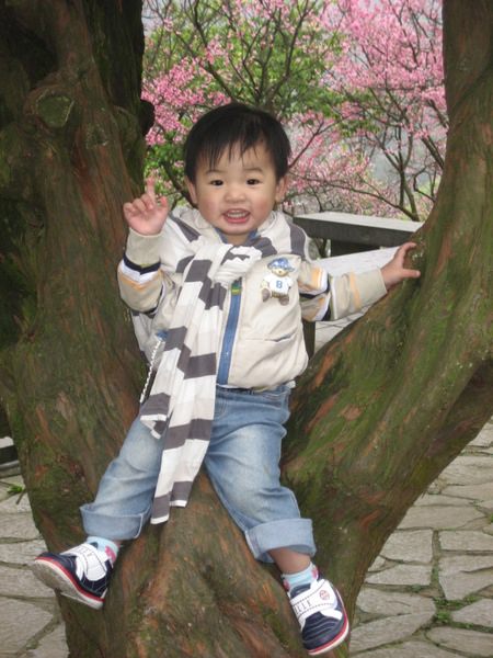 1503911834-cdfeedcd9acc4017c87db4f06a5056da-senxd