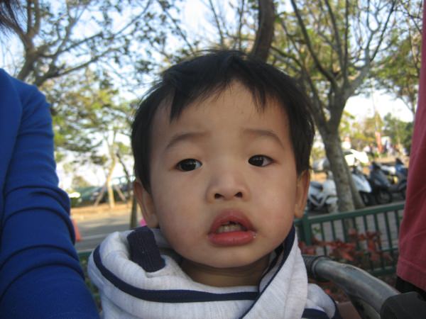 1503911442-54a8f8db009848d54e0392a69d204fb2-d4qmc