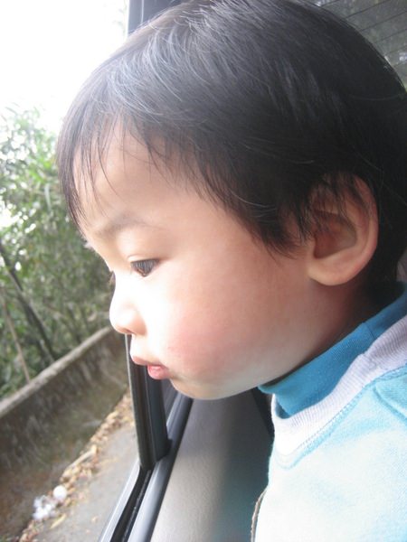1503911313-eba815a0fd8ca66625571046d72ed669-9ebh7