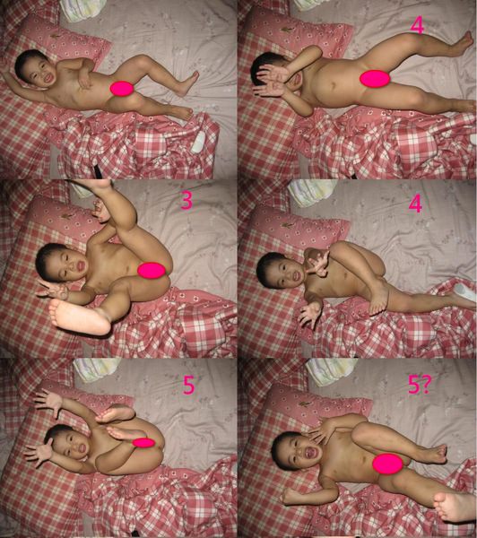 1503910525-a1ed93de30f621a06f30bdce547dae1a-nt9ee