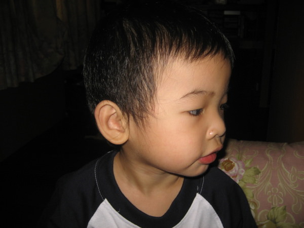 1503910121-6c678ee765825ba31359d02f33a5fc14-vtt4q