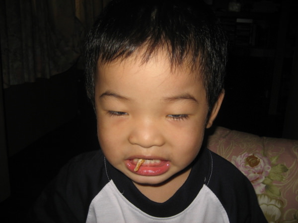 1503910122-a978f0656cf8db4e8ad45a1a8f288aa4-joden