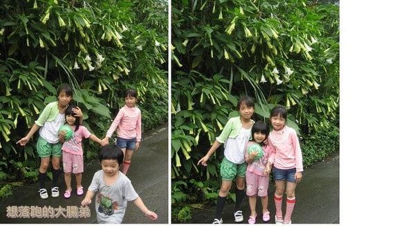 1503908507-6713955067dbedb784e28a4d6d448287-xun4p