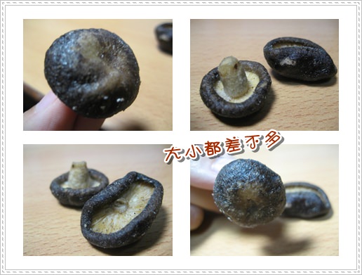 1503906702-6322584b56a09296b00586edf57aefb0-94clu