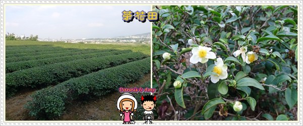 1503903560-d3f0c0a9cf15f5aeedca527b11c35183-eqy9f
