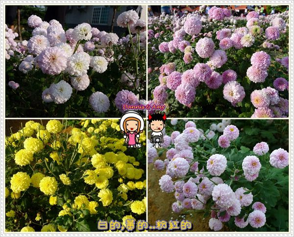 1503903562-4363250e5ceac86f47d06562c63b3c46-f4fgy