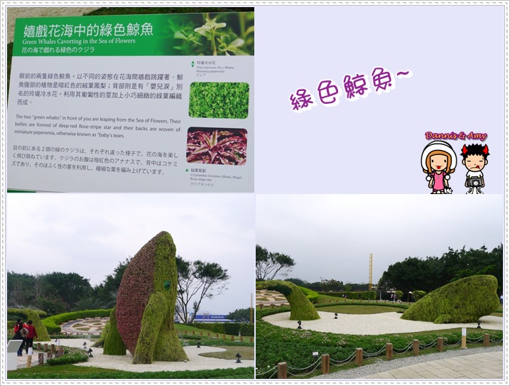 1503901375-c46fe3e36b22915140d4ed9daead320e-8t7p6