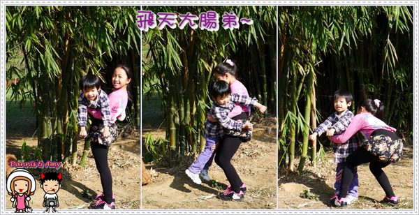 1503901767-cd9e5a914f4c4a71c809f423d543e1d7-upx8l