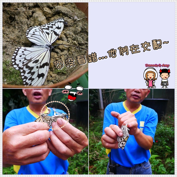1503899621-90b2d9b522a97108fab26c4fa435d812-ceg0y