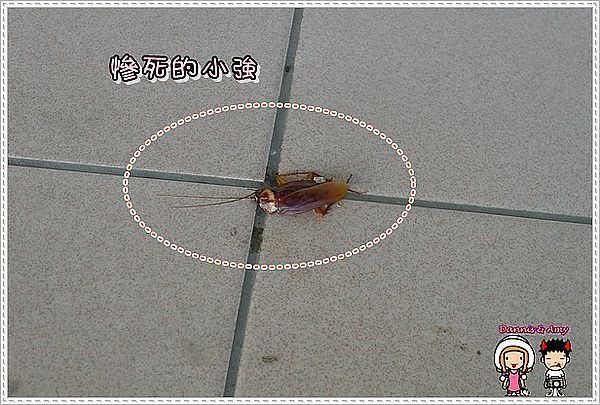 1503898613-cf66f952291b6e7bc7a324614614239d-brmyq