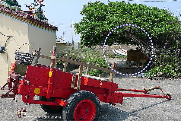 1503640528-f22f31948233631130f6314241ab2f5a-k80ri