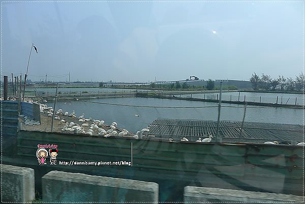 1503640546-7a80d056dedea69f1c96bcd03644857d-kwhd9