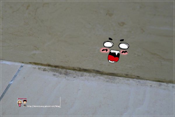 1503640165-3ee8c3775284be7b379e5d4b47802350-wwh1o