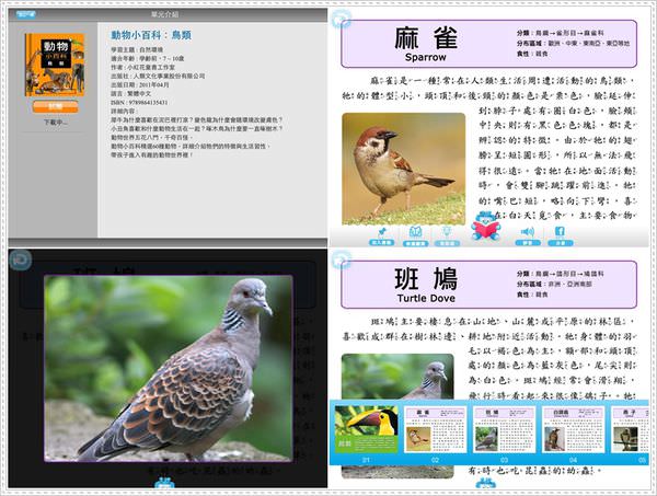 1503633987-495a3653a8cb346694a5f667d02e9312-borid