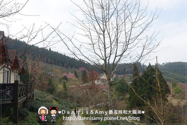 1503627612-2cd2d897523c505ed8222473d7128fd1-lc5dl