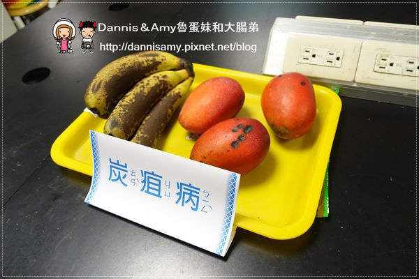 1503620246-befbef775cc34bc6db69891f9823f6db-ohi0v