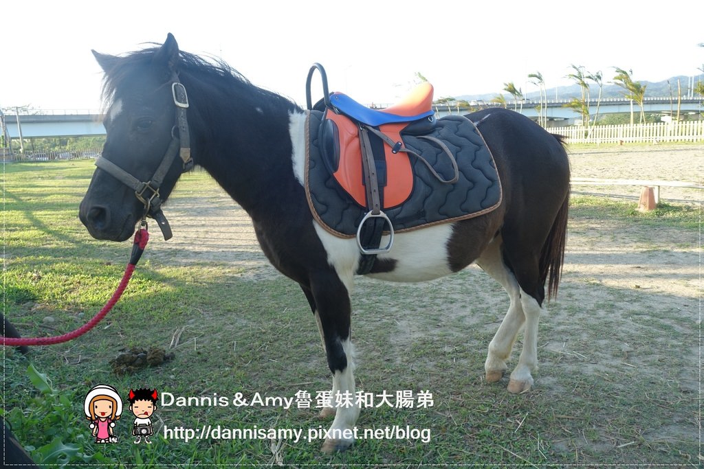 1503613316-d55f298248cf579b75aace9a97f58009-zc2e9