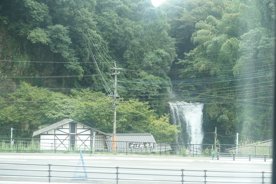 1503601923-88ab6975c1c7a6b19f845245b0540fb0-eldv5