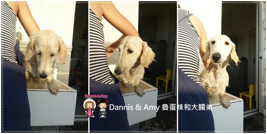 1503602078-3d20c5f87f7ad85b319c7c691e7f83ac-hw6pi