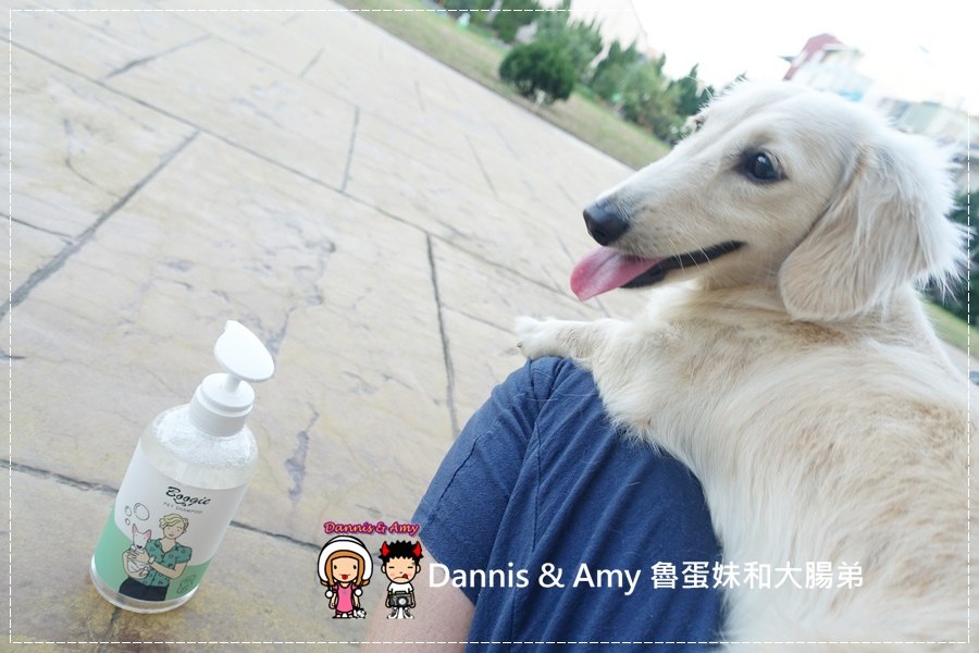 1503602080-eed7bbc00f14b642ed6887f15beb78ee-d7sny