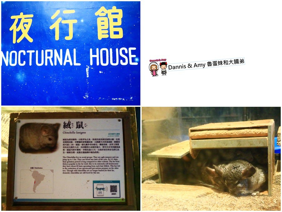 1503595198-7e0e95a5813c4623bd5ebb2ff6b103e6-tlily
