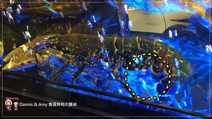 1503596255-5ef2e6e4a95256e50aa3d0eec440c17d-dplnx
