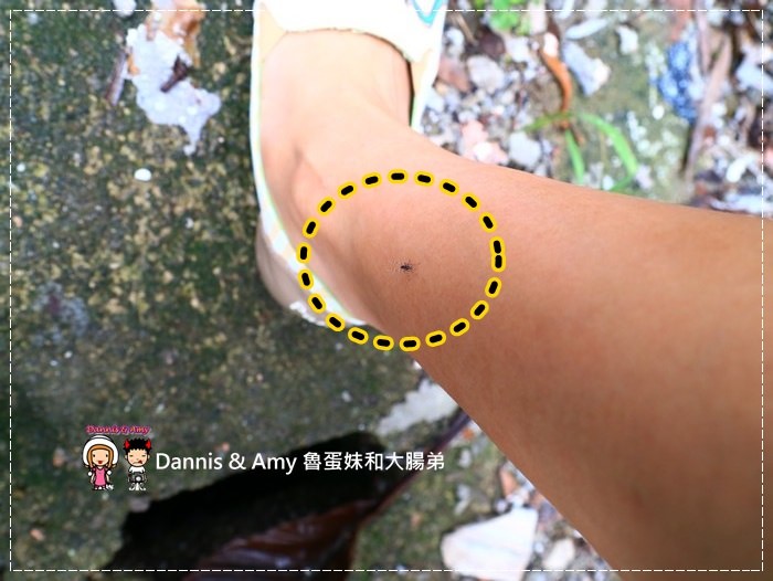 1503593164-5dfc56143b7094a8cee755161582acac-6usmw