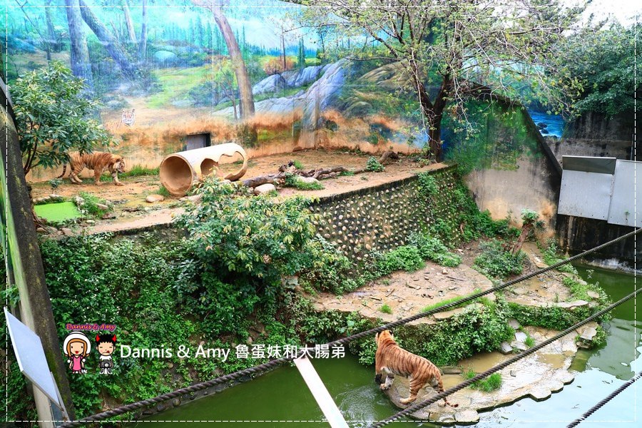 20170422《新竹景點》令新竹人驕傲的新竹市立動物園即將「請假」啦！。期待「新」動物園的模樣｜（影片） (16).jpg