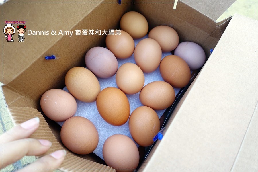 20170103《雞蛋食譜》如何料理小朋友愛吃的蛋料理 x 苗栗快樂雞的YOYO蛋︱（影片） (38).jpg