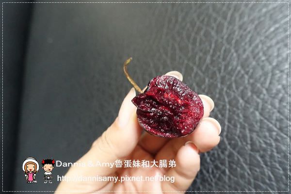 販奇網 Rose美國玫瑰紅櫻桃 (1)