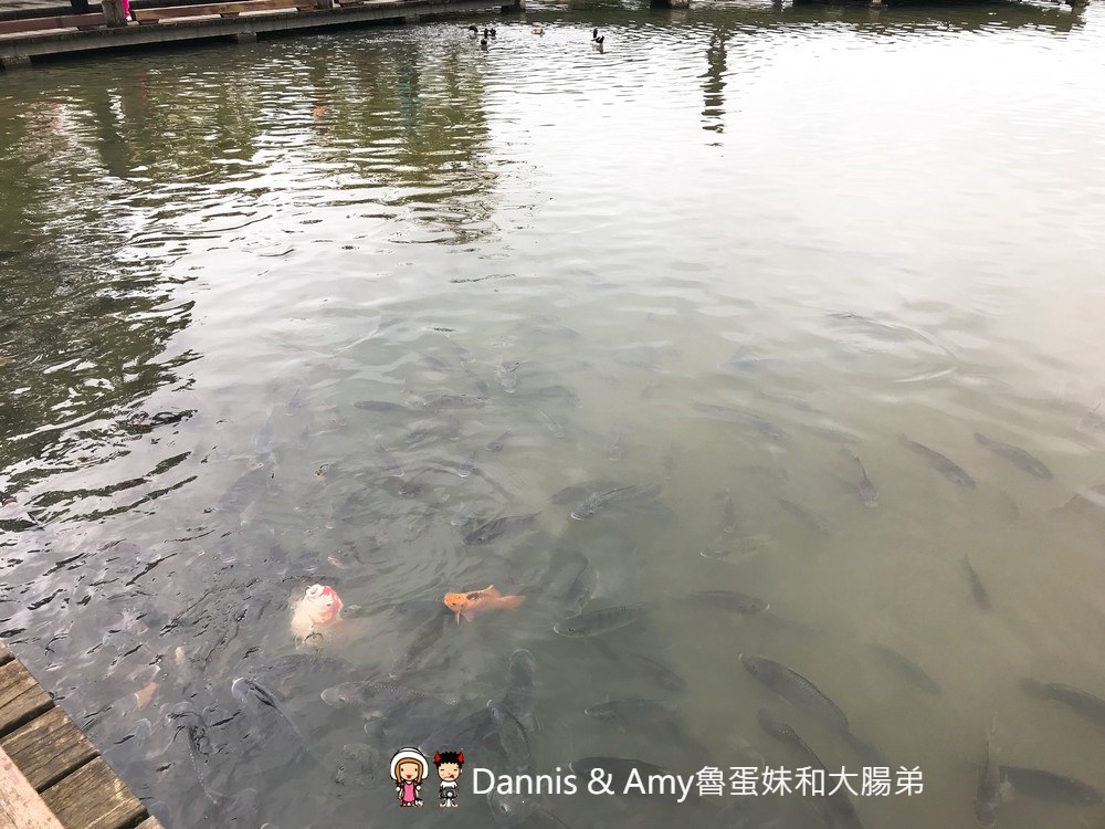 20180306211414_37-5srqy 20180306211414_37-5srqy