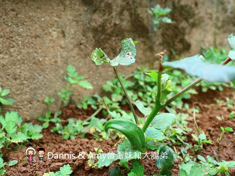 20180616094935_56-rb73n