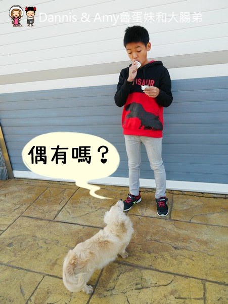 20190131144058_87-mwyls