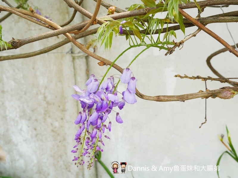 20190413075205_19-hae05