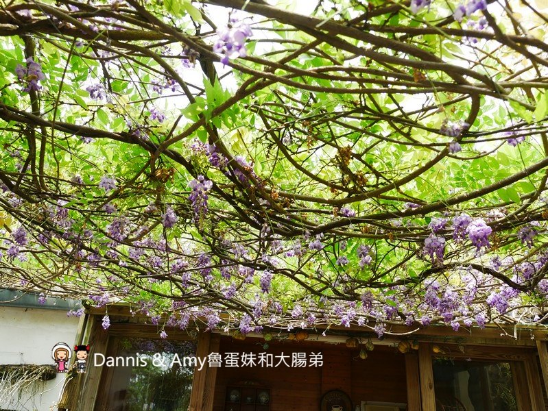 20190413075211_95-k56kc