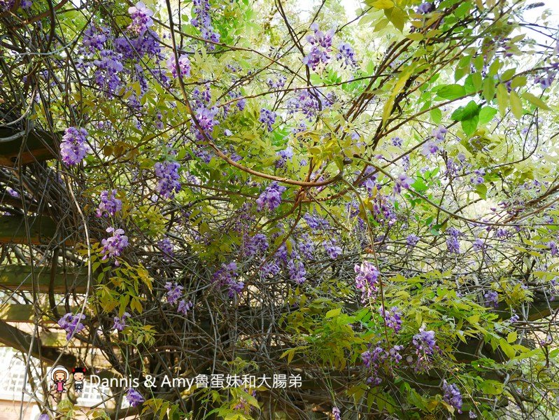20190413075345_77-pghao