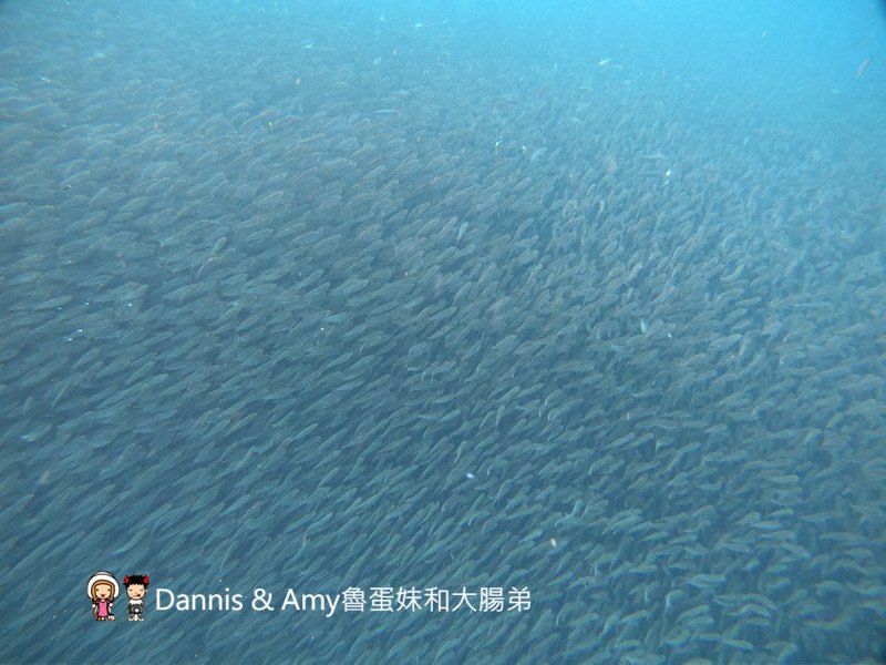 20190729201207_42-ooubc