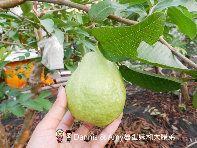20190825004421_75-4ddhe