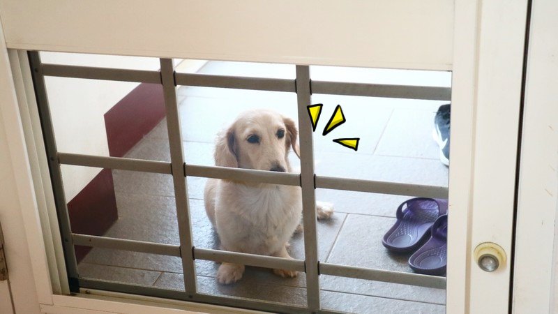 20190723091925_71-dvi2b