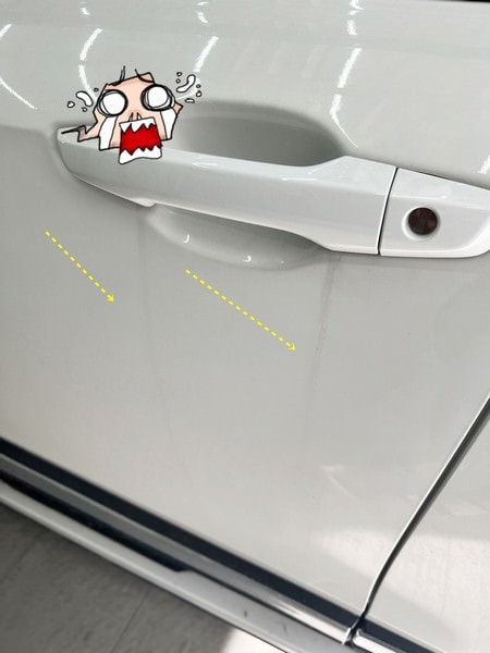 S__235995147-flwbx