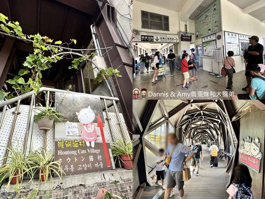 瑞芳不是只有九份︱瑞芳猴硐一日遊攻略_走進黑金山城,從金字碑古道到貓村 - 第38張圖