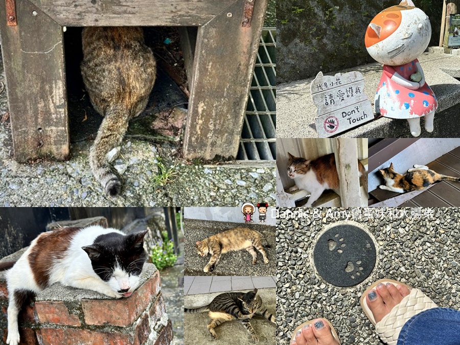瑞芳不是只有九份︱瑞芳猴硐一日遊攻略_走進黑金山城,從金字碑古道到貓村 - 第41張圖