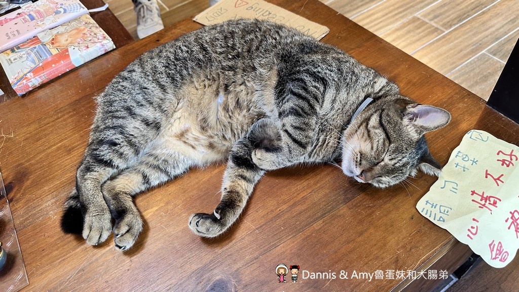 瑞芳不是只有九份︱瑞芳猴硐一日遊攻略_走進黑金山城,從金字碑古道到貓村 - 第43張圖