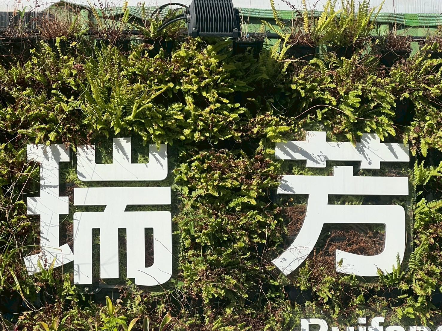 瑞芳不是只有九份︱瑞芳猴硐一日遊攻略_走進黑金山城,從金字碑古道到貓村 - 第2張圖