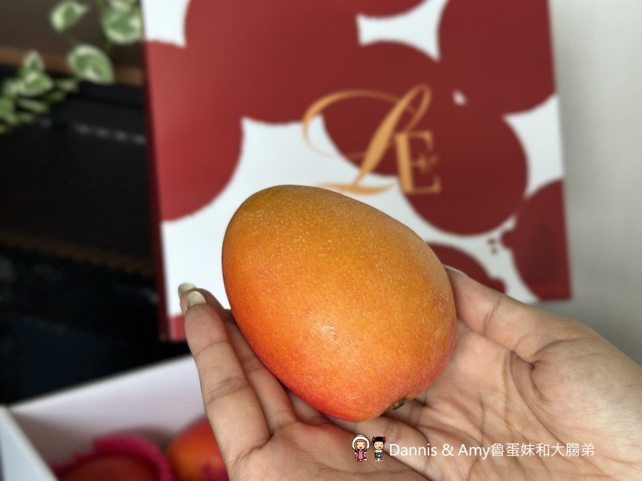 季節限定︱屏東潮州李家玉荷包開箱！皮薄籽小、甜度爆表，錯過真的要再等明年~