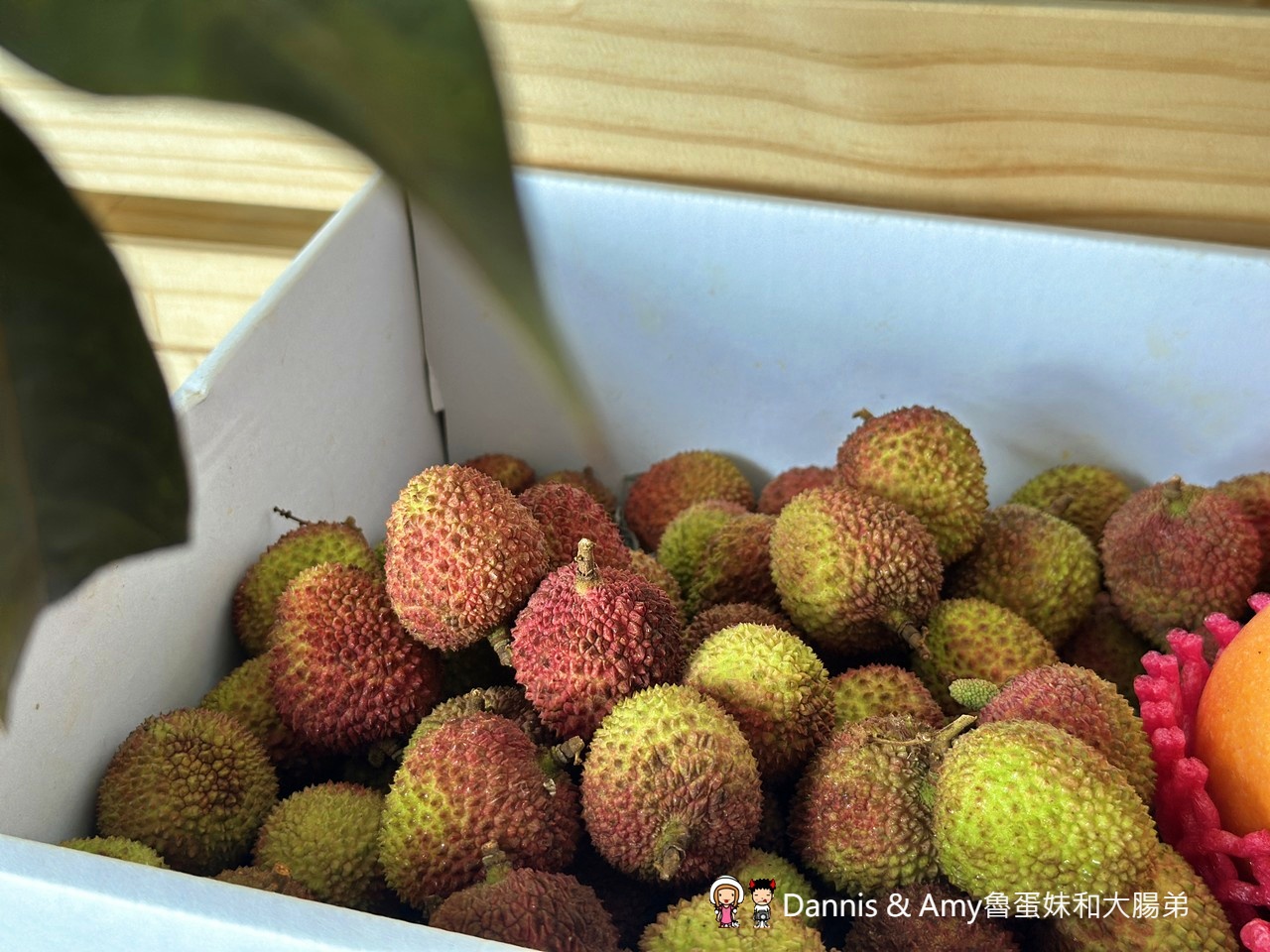 季節限定︱屏東潮州李家玉荷包開箱！皮薄籽小、甜度爆表，錯過真的要再等明年~